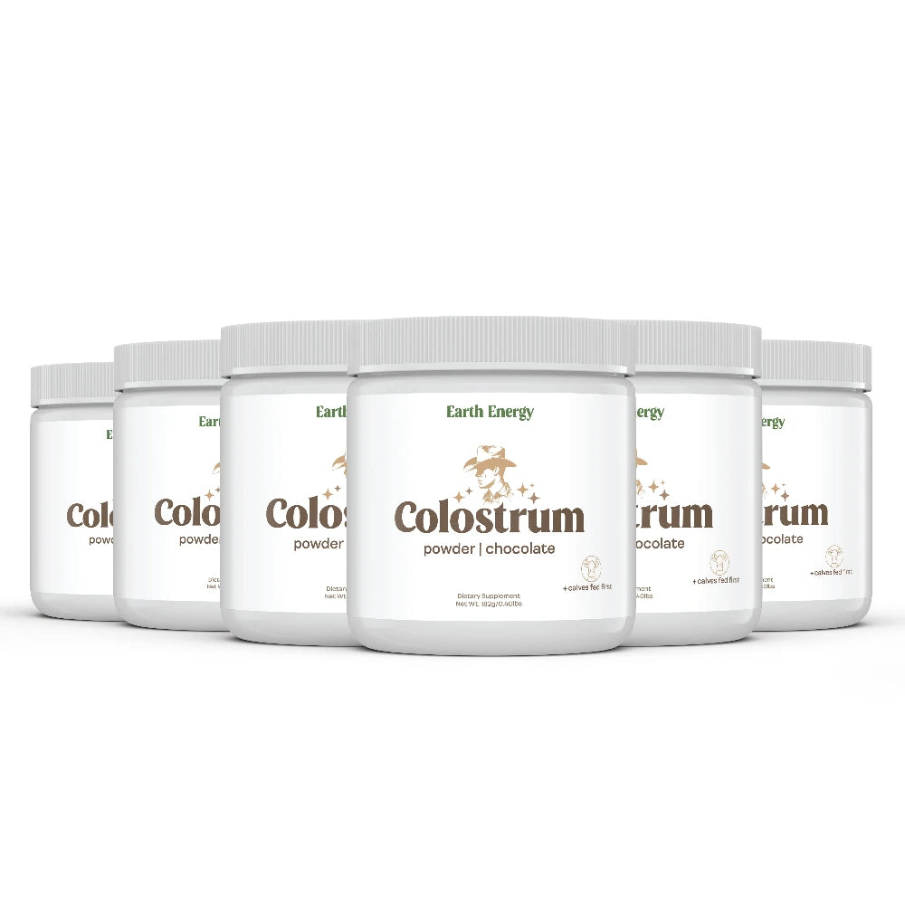 Chocolate Colostrum 6 Pack - Earth Energy