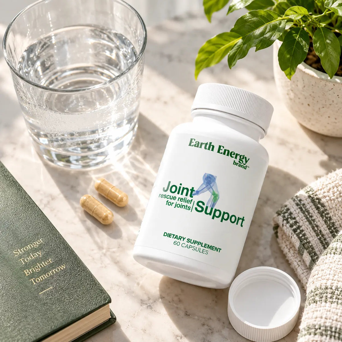 Daily Joint & Mobility Formula