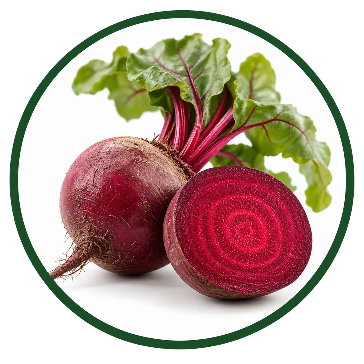 Beet